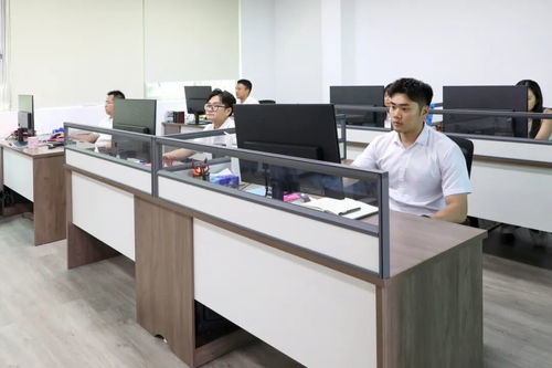 謝崗文旅發(fā)展正式揭牌，商業(yè)綜合體管理服務(wù)助力區(qū)域發(fā)展加速鍵